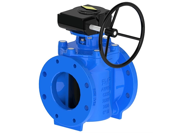 Eccentric Plug Valves